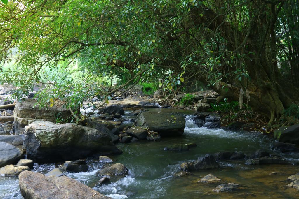 Nivahana Homestay Kandy Luaran gambar