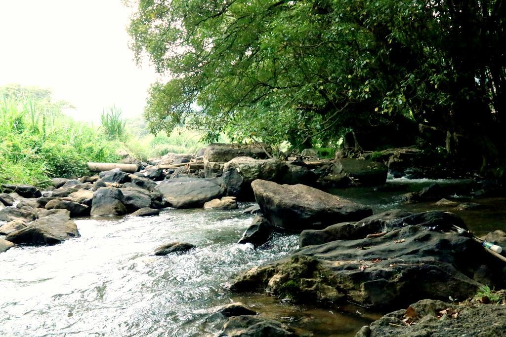 Nivahana Homestay Kandy Luaran gambar