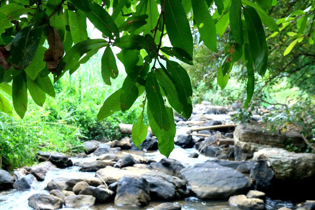 Nivahana Homestay Kandy Luaran gambar