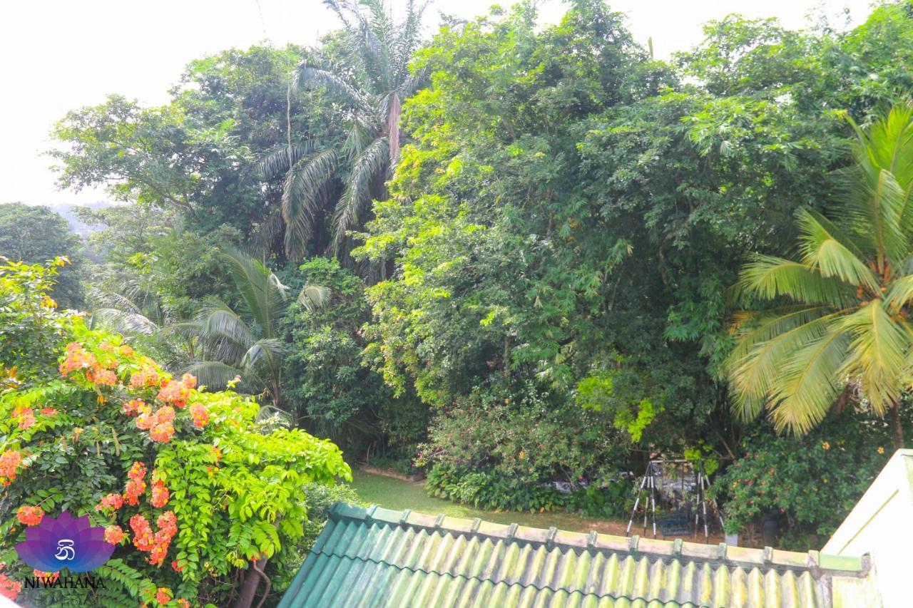 Nivahana Homestay Kandy Luaran gambar