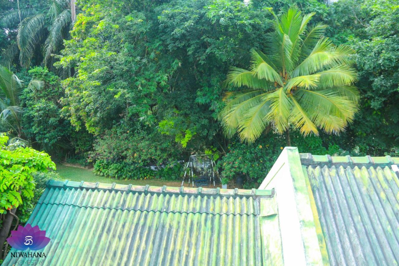 Nivahana Homestay Kandy Luaran gambar